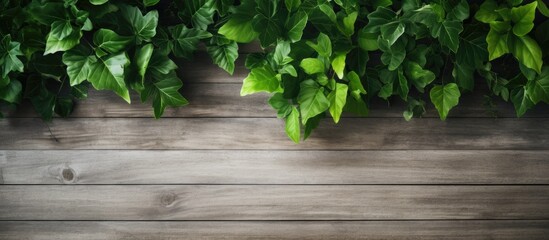 A background featuring green leaves scattered on a wooden surface, creating a natural and rustic atmosphere. The leaves contrast beautifully against the wooden texture, adding a touch of nature to any