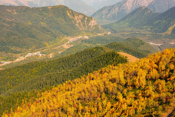 mountains and green and yellow forest in valley. Place for trekking tourism