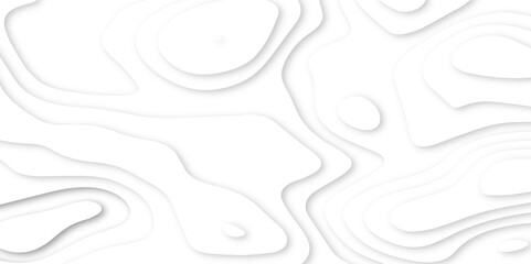 Abstract paper carve template. abstract white 3d papercut topography relief vector background illustration. topographic canyon geometric map relief texture with curved layers and shadow.