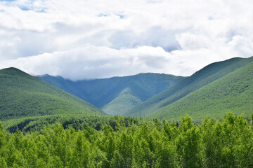 Fototapeta na wymiar Green mountains, dense deciduous forest. Low clouds.