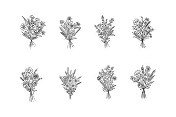 Set of flower bouquet vector. Hand drawn flower. Wildflower line art bouquets set, wild plant, botanical vector illustration	