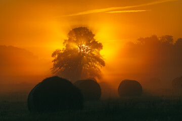 A beautiful sunset in a field with hay bales and a tree.