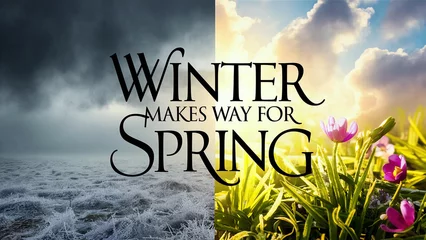 Poster A striking split-screen image showcasing the contrast between winter and spring. Generative Ai © Dm