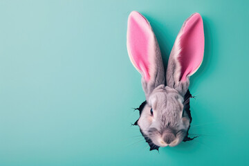 cute easter bunny poking out of a hole in a bright color wall. Happy easter background