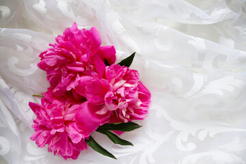 bouquet of peonies and white blank for text