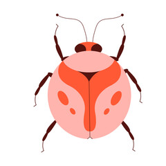 Beetle flat vector illustration. Illustration of a beetle on a white background.