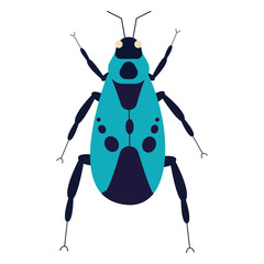 Beetle flat vector illustration. Illustration of a beetle on a white background.