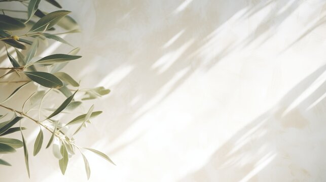 Shadows of olive tree leaves, branches over white wall. Summer background with a pattern of lens flare. Sunlight overlay, soft blurred photograpy, no people, empty copy space. Mediterranean concept