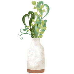 Plant, flower, floral, spring, summer, beautiful, cute