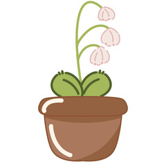 Plant, flower, floral, spring, summer, beautiful, cute