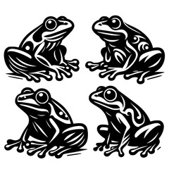 frog on a white background