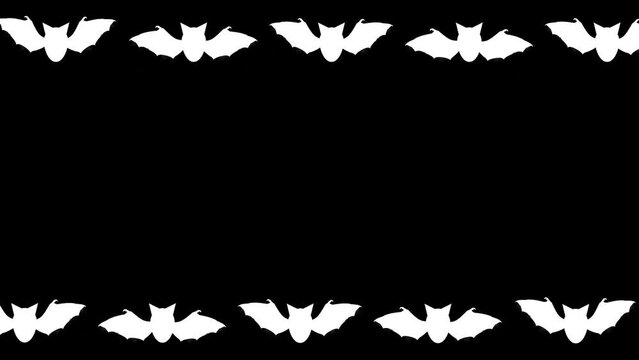White bats decorative frame on plain black background