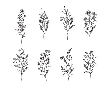 Set of flower vector. Hand drawn flower. Wildflower line art bouquets set, wild plant, botanical vector illustration