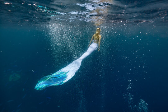 This photo is about scuba diving in the Maldives Islands. Starting from Male Airport, the photos range from underwater shots to mermaid shots by boat. This photo is about scuba diving in the Maldives