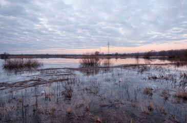 Morning in the pouring fields.