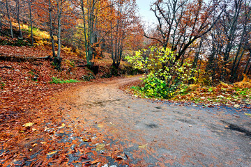 Carretera de Casillas