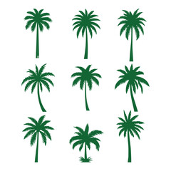 Palm tree silhouette set