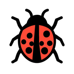 Ladybug PNG