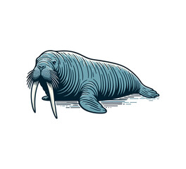 Fototapeta na wymiar Atlantic walrus hand drawn vector illustration
