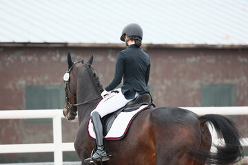 Equestrian sports, dressage. Shooting from the back