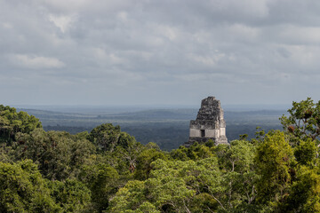 Fototapeta na wymiar Temple I or gran jaguar at Tikal National Park, ancient mayan ruins in Guatemala on sunny day