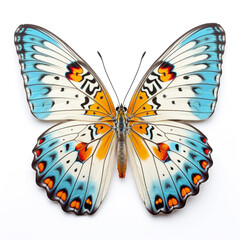Fototapeta premium photo bright butterfly on a white background сreated with Generative Ai