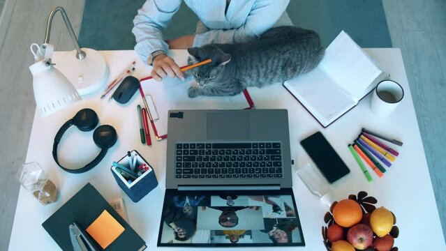 A desk with stationery, laptop and a cat during online meeting