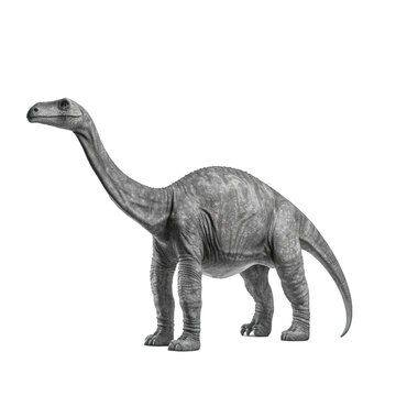 Apatosaurus - A grayscale drawing of a dinosaur with a long neck and a long tail isolated on transparent background, element remove background
