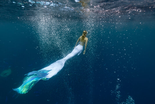 This photo is about scuba diving in the Maldives Islands. Starting from Male Airport, the photos range from underwater shots to mermaid shots by boat. This photo is about scuba diving in the Maldives