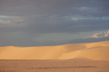 Sunset over the sand dunes in Sahara desert near Tozeur - 754850454
