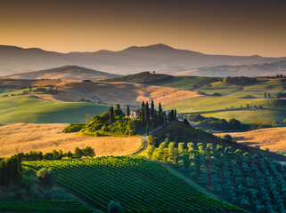 Fototapeta premium Scenic Tuscany landscape at sunrise, Val d'Orcia, Italy