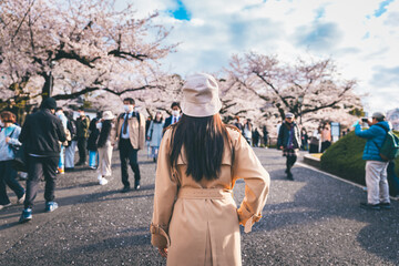 Traveler asian woman travel in sakura cherry blossom  tree in Chidorigafuchi park Tokyo Japan in spring season