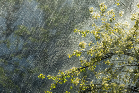 A captivating image of a torrential spring rain, showcasing the power and beauty of nature's fury