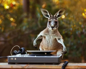 Deurstickers A clumsy kangaroo stumbles through copyright law © Piyapan