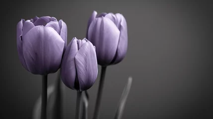 Foto auf Acrylglas purple tulips © Artworld AI