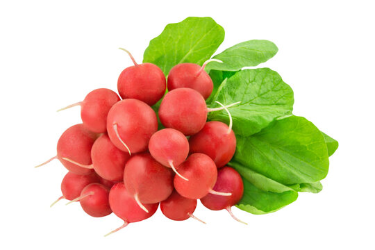 1 Bund Radieschen und Hintergrund transparent PNG cut out