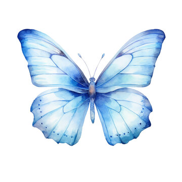 Vibrant Watercolor Butterfly Illustration isolated
