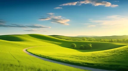 Foto op Canvas Picturesque winding path through a green grass field in hilly area in morning at dawn against blue sky with clouds. Natural panoramic spring summer landscape © MdRazib