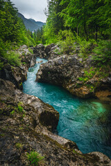 Winding Soca river in the green forest, Trenta, Slovenia - 754871076