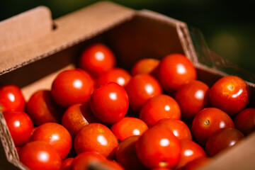 Red cherry baby tomatoes in carton box. Fresh ripe tomatoes packaged in carton box on street market or greengrocery. Organic tomatoes.