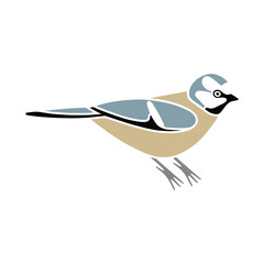 Blue tit city bird. Vector SVG color hand-drawn illustration