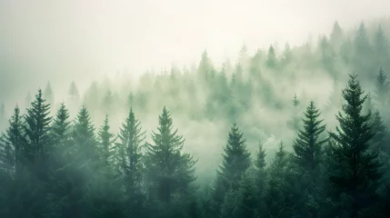 Foto op Plexiglas Nostalgic Whimsy: A Misty Landscape Enveloped by a Fir Forest, Capturing the Hipster Vintage Retro Charm © nagulan