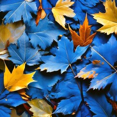 autumn maple leaves
