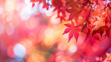 Fototapeta premium 真っ赤な紅葉の背景 Generative AI