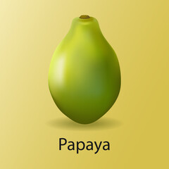 Realistic papaya. Fresh, ripe, green papaya.