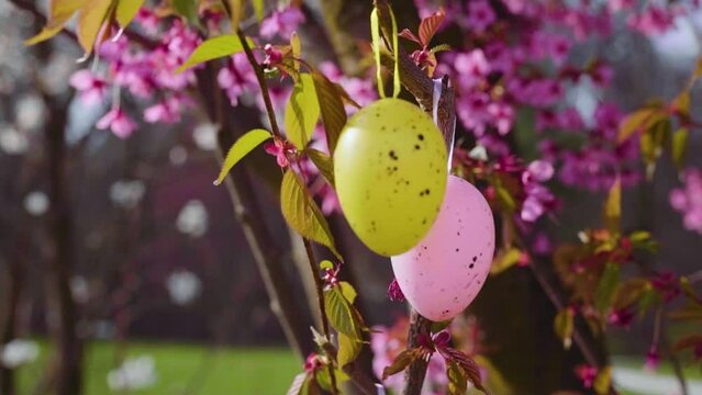 Colorful decorative Easter eggs hang on a flowering tree.