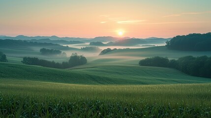 Sunrise Hues Over Misty Agricultural Fields