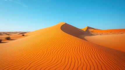 Fototapeta na wymiar Sweeping Orange Sand Dunes Under Blue Sky