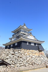 Japanese Castle