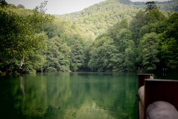 The forest and the lake within it, Bolu Yedigoller